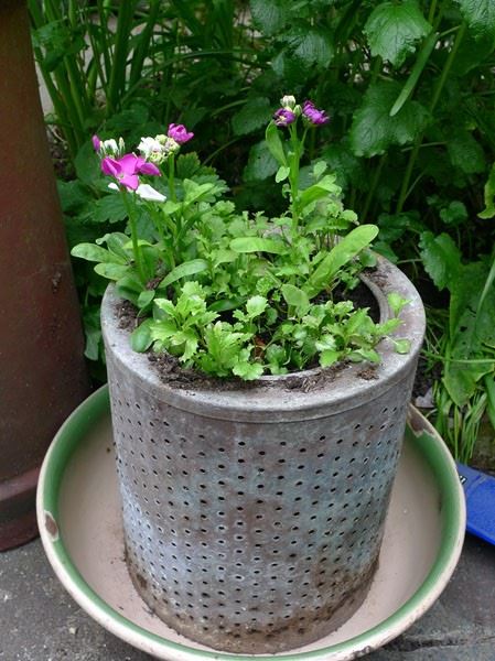 upcycled washing machine drum garden planter