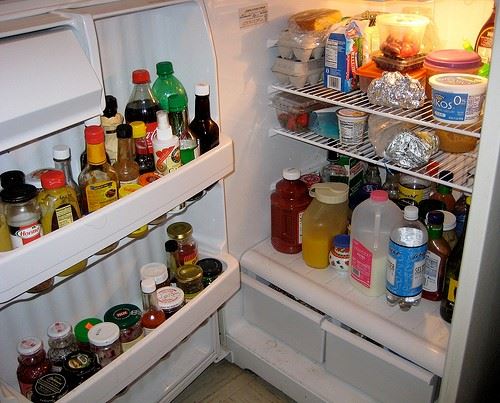 How to maintain your fridge freezer