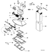 Section