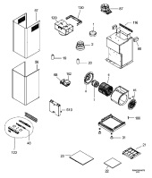 Section