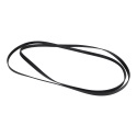 Drive Belt 