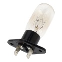 Lamp Bulb & Holder