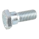 Screw