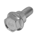 Collar Screw