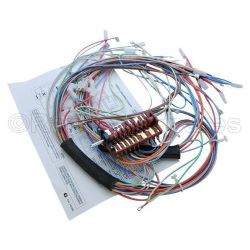 Switch With Wiring Loom