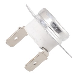 0024000315 Thermostat