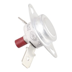 0024000304 Thermostat