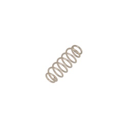 Grill Element Fixing Spring